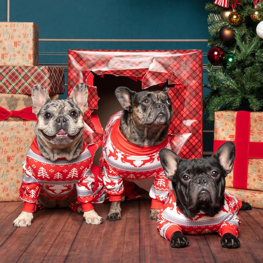 Dog Christmas Pajamas