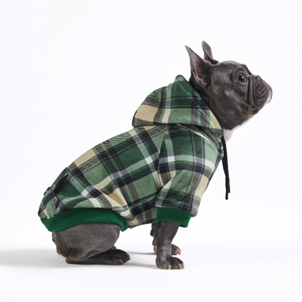 Green Plaid Dog Hoodie