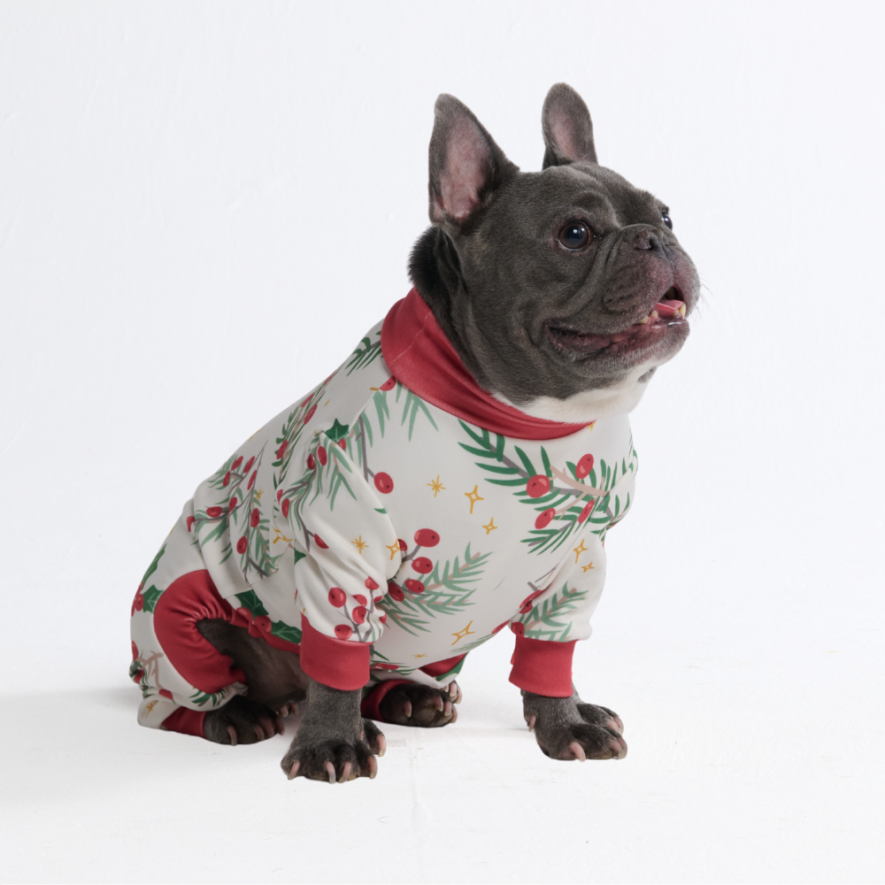 Dog Christmas Pajamas