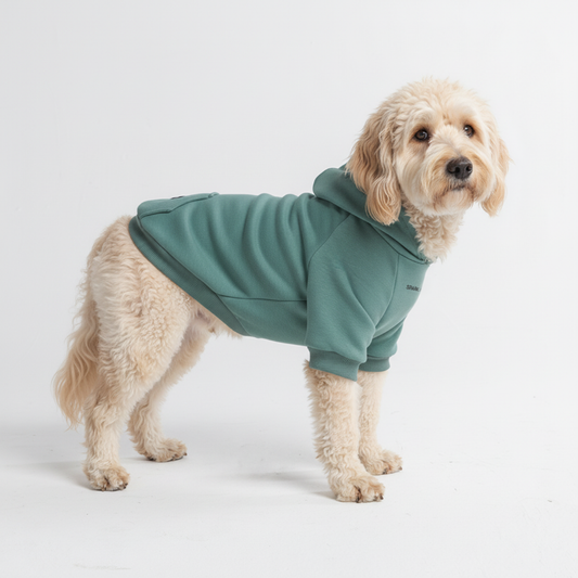 Essential Dog Hoodies