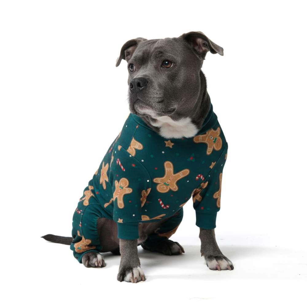 Dog Christmas Pajamas
