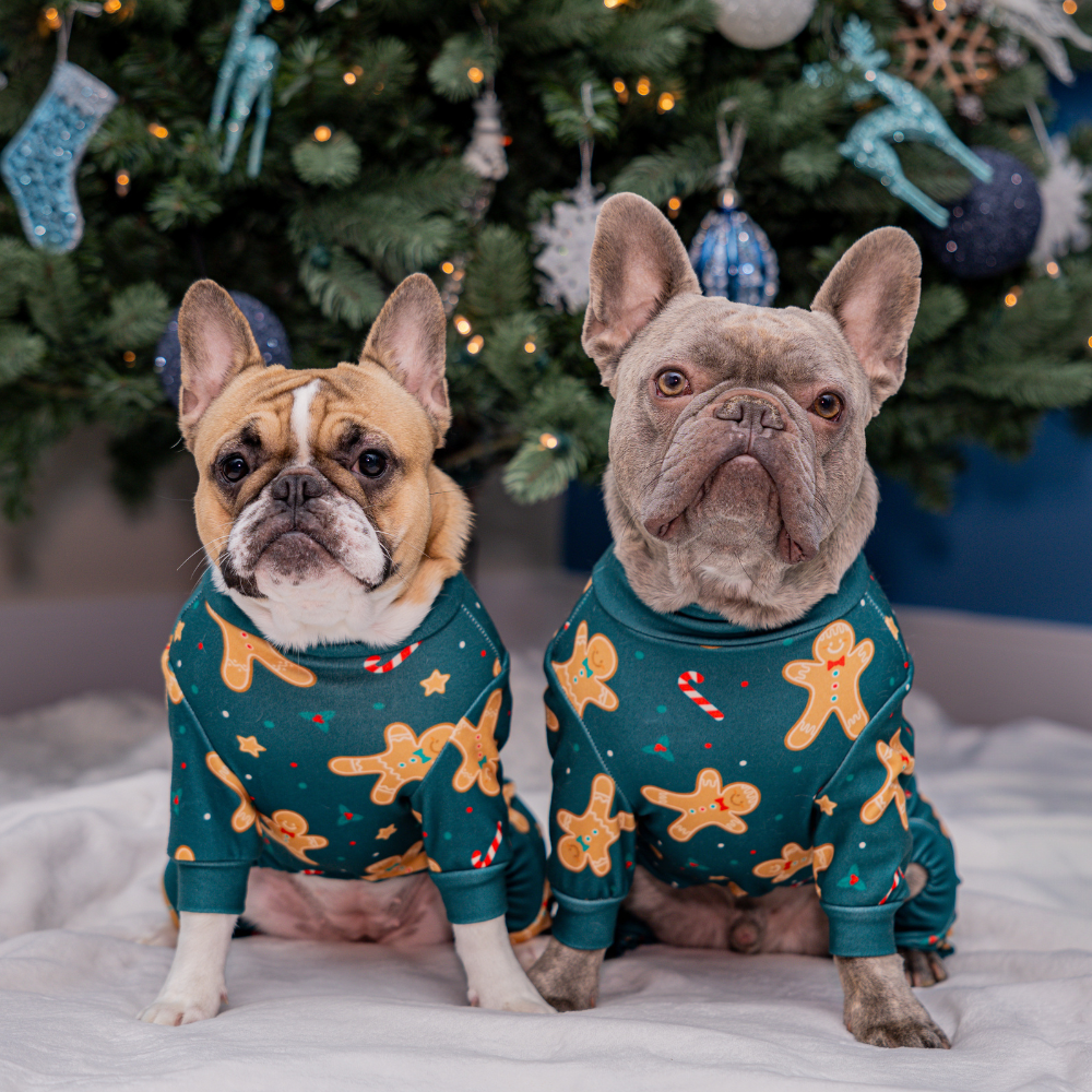 Dog Christmas Pajamas