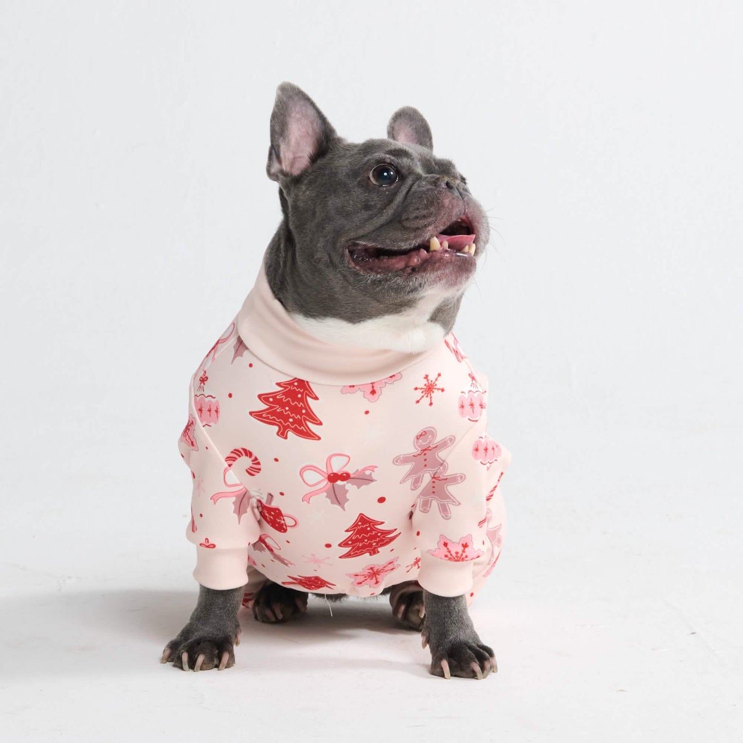 Dog Christmas Pajamas